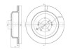 CIFAM HYUNDAI Гальмівний диск задній ix55 3.0/3.8 08-12 800-1702C