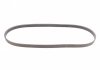 Ремень поликлиновой DAEWOO LANOS седан (KLAT) 1.6 16V Contitech 5PK1005 (фото 4)