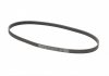 Ремень поликлиновой DAEWOO LANOS седан (KLAT) 1.5 Contitech 5PK970 (фото 4)