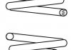 Пружина подвески задняя (кратно 2) Bmw 1-series E87 116d, E88 118-125i, 3-series 14101251