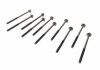 Комплект болтів головки циліндра (10 шт) ELRING 233370 (фото 4)