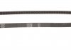 Ремінь клиновий AVX 10х875 (вир-во) Gates 6215MC (фото 2)
