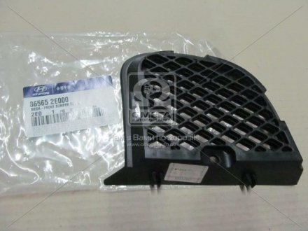Сетка воздухозаборника (Mobis) Hyundai / Kia / Mobis 865652E000