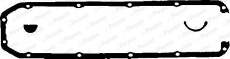 Комплект прокладок гумових Payen HL460 (фото 1)