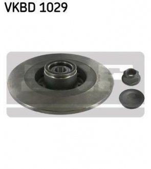 Диск гальмівний (комплект) SKF VKBD 1029 (фото 1)