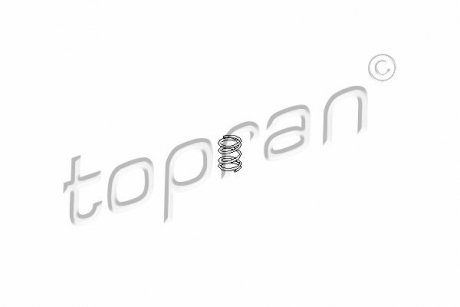 Цилиндр замка TOPRAN 109 725 (фото 1)