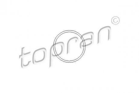 Прокладка TOPRAN 202290 (фото 1)