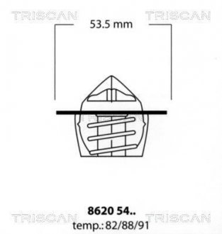Термостат TRISCAN 8620 5488 (фото 1)