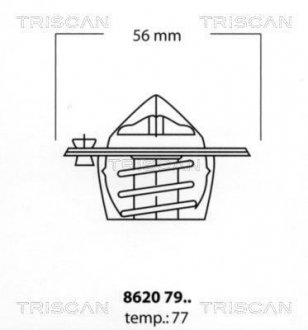 Термостат TRISCAN 8620 7977 (фото 1)