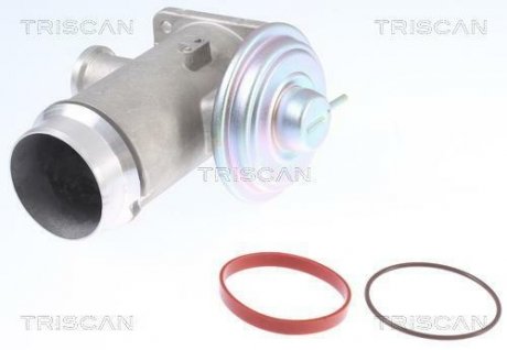 Клапан рецеркуляції відпрацьованих газів TRISCAN 8813 11102