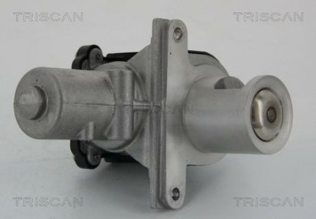 Клапан рецеркуляції відпрацьованих газів TRISCAN 8813 25036 (фото 1)
