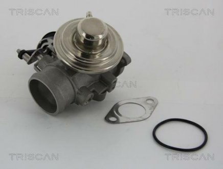 Клапан рецеркуляції відпрацьованих газів TRISCAN 8813 29001