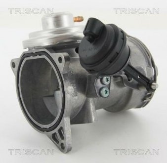 Клапан рецеркуляції відпрацьованих газів TRISCAN 8813 29070