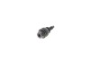 Гвинт TORX 06J103831