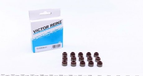 Комплект сальників клапанів VICTOR REINZ 12-53539-01 (фото 1)