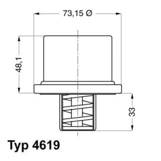 Термостат WAHLER 4619.75 (фото 1)